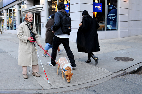 blind elderly woman with guide dog