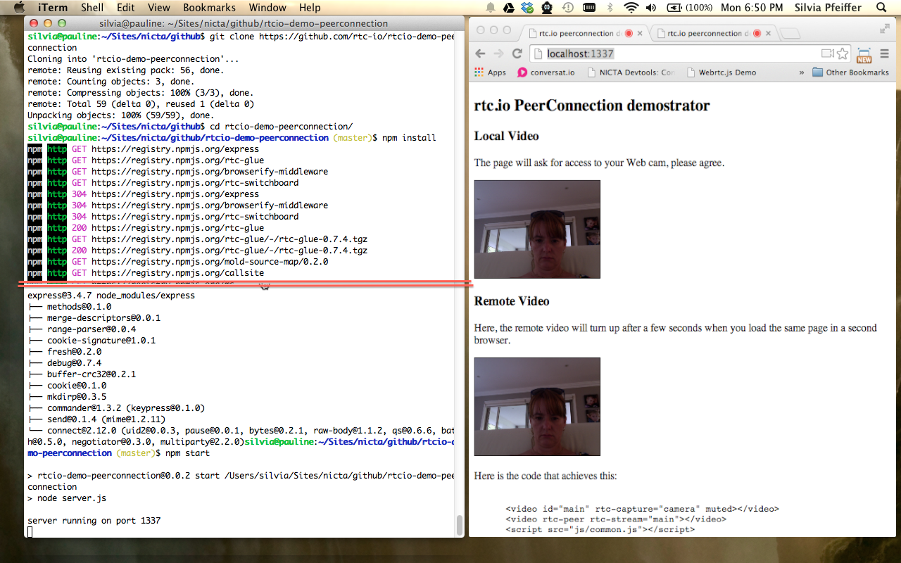 screenshot of rtcio-demo-peerconnection